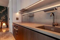 Cuscaden Reserve (D10), Condominium #584978381